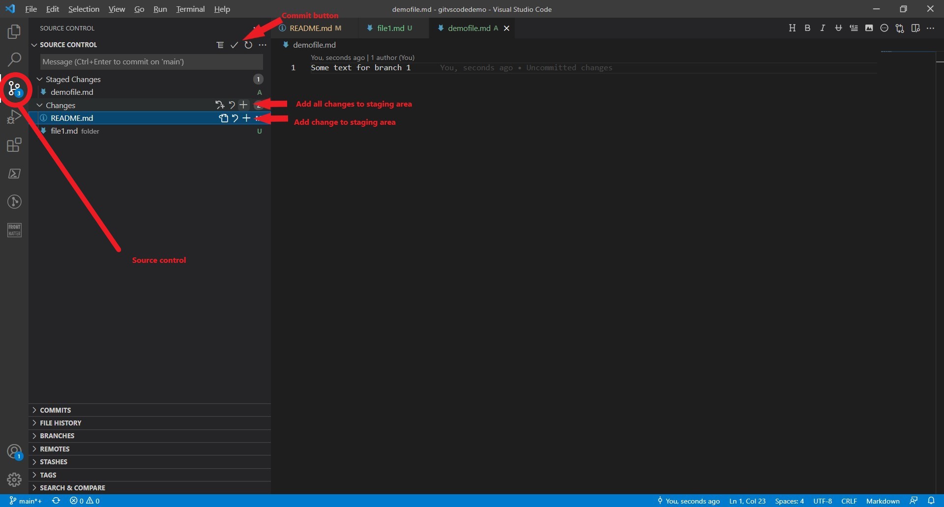 VSCode source control